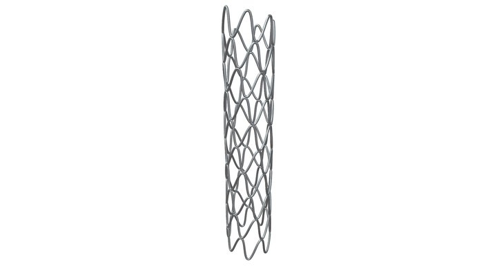5.Resolute Onyx Drug Eluting Stent (DES) 3D Model