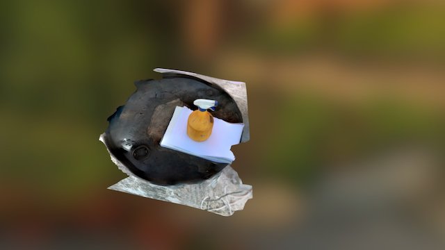 Plastic spray bottle 3D Model