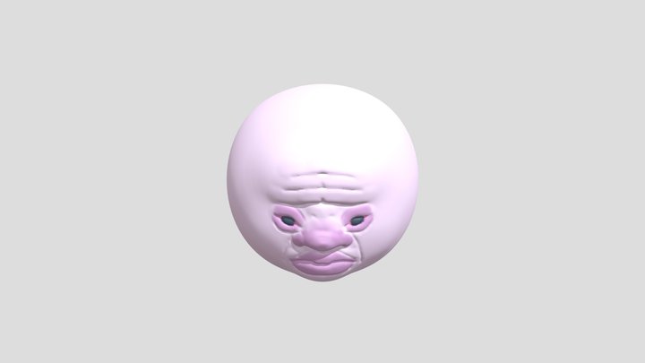 My model 3D Model