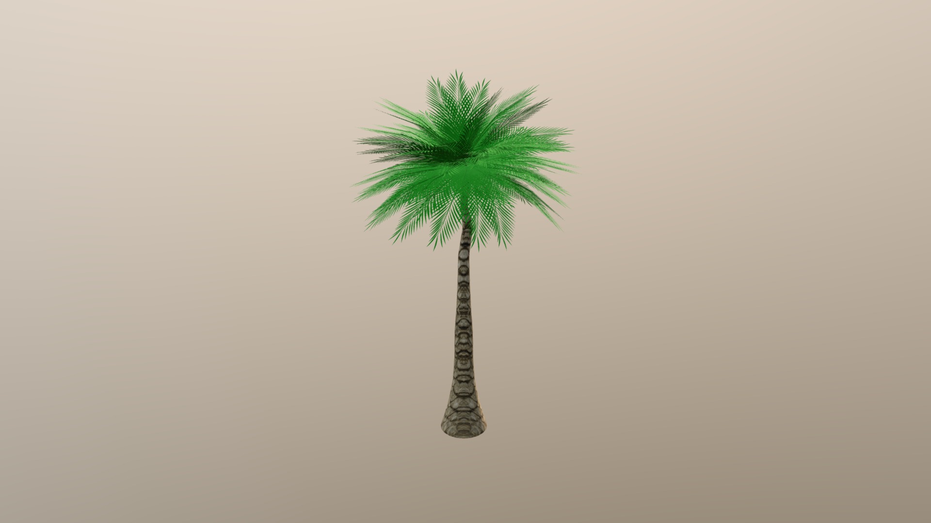 3D model Palm - This is a 3D model of the Palm. The 3D model is about a palm tree in a foggy room.