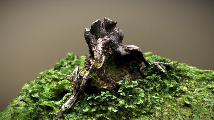 Awesome 3D SCAN! 3D Model