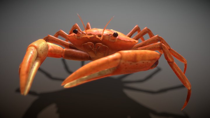Animated crab 3D Model