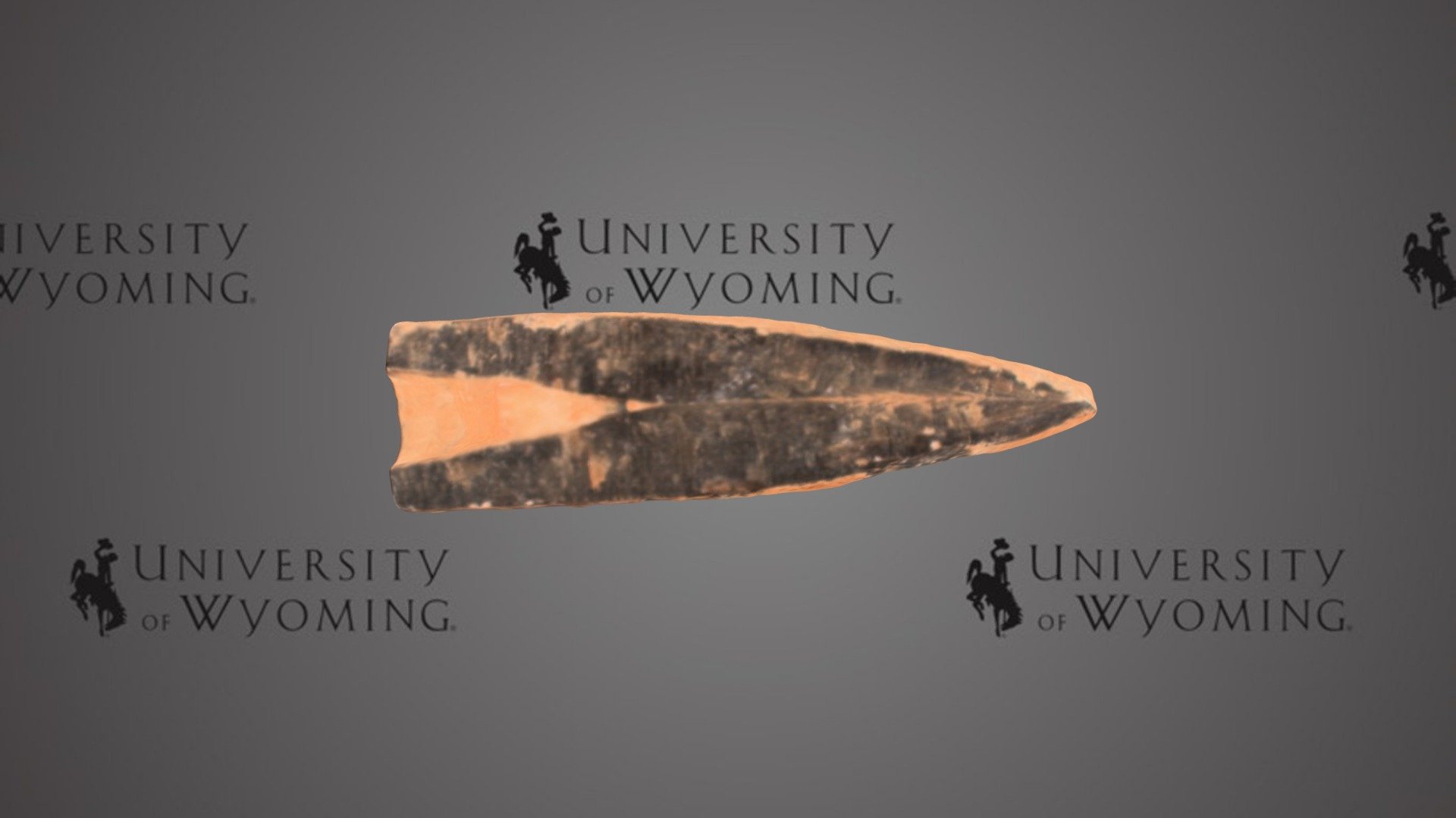 UWG Belemnoid E