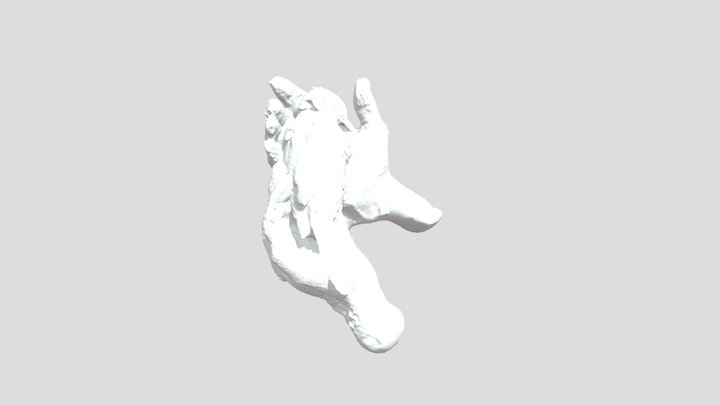 Bird in Hand 3D Model