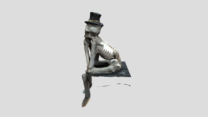 Skelly 3D Model