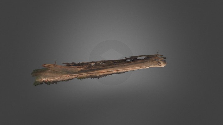 Barcone a Motore di Calde' 3D Model