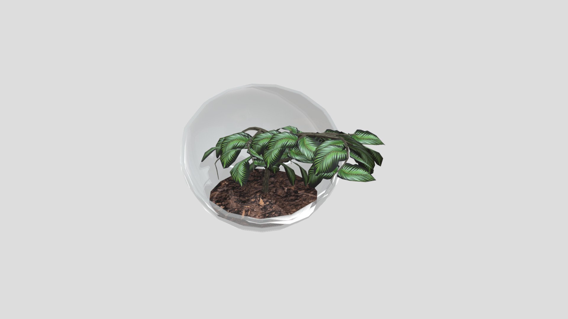 WK9_PlantModel_Buehler_Asa - Download Free 3D model by AsaBuehler ...