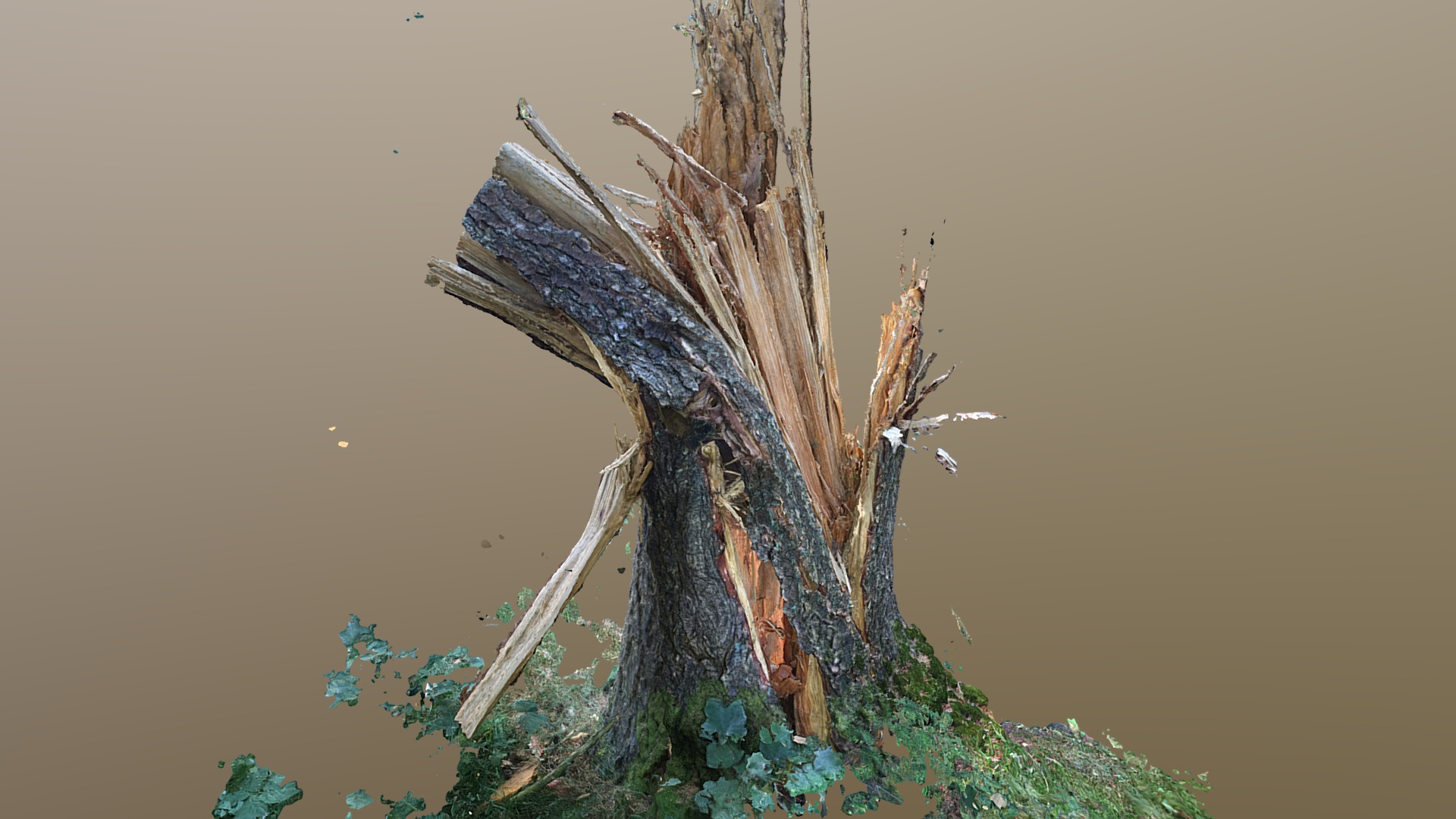 3D model Split tree - This is a 3D model of the Split tree. The 3D model is about a tree with branches and leaves.