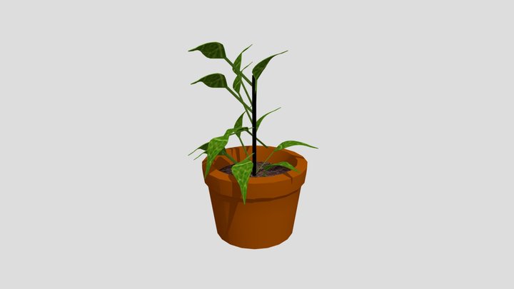 plant model 3D Model