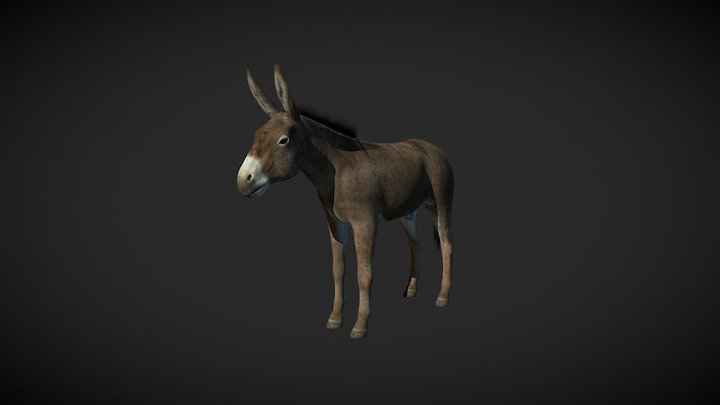 Burro/Donkey 3D Model