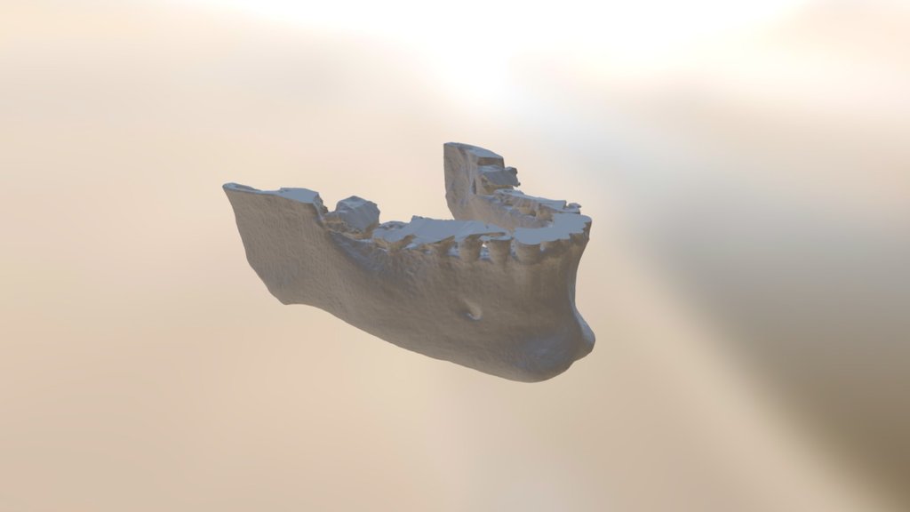 Mandible — Sketchfab embed 3D viewer