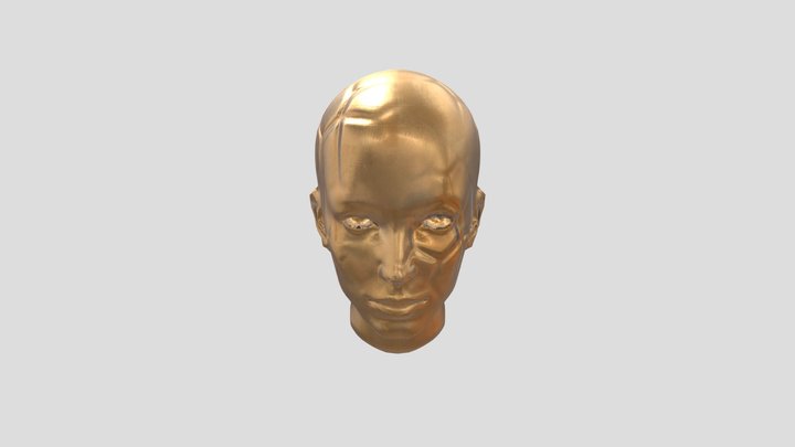 Head high low bake 3D Model