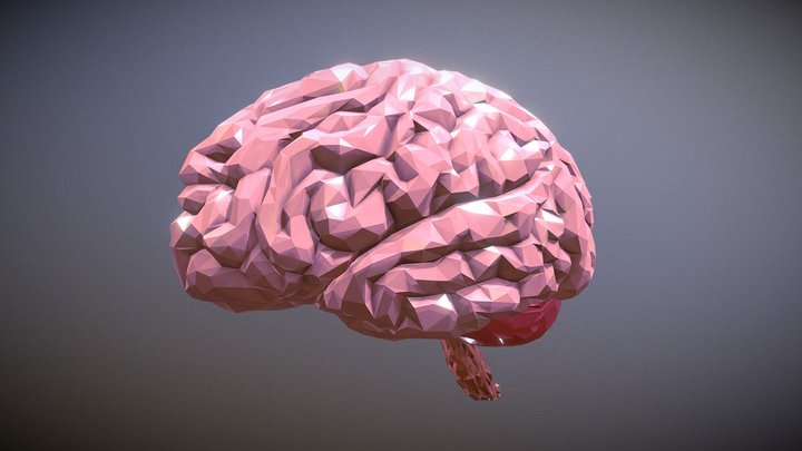 Brain Low Poly 3D Model