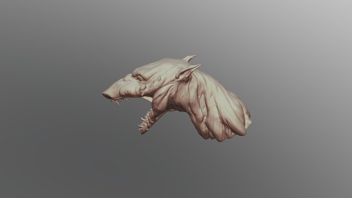 Dog Head 3D Model