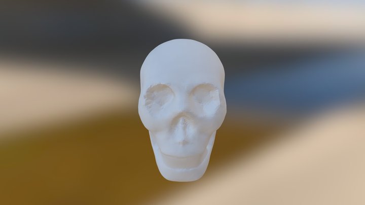 Cranio Cg 2 3D Model