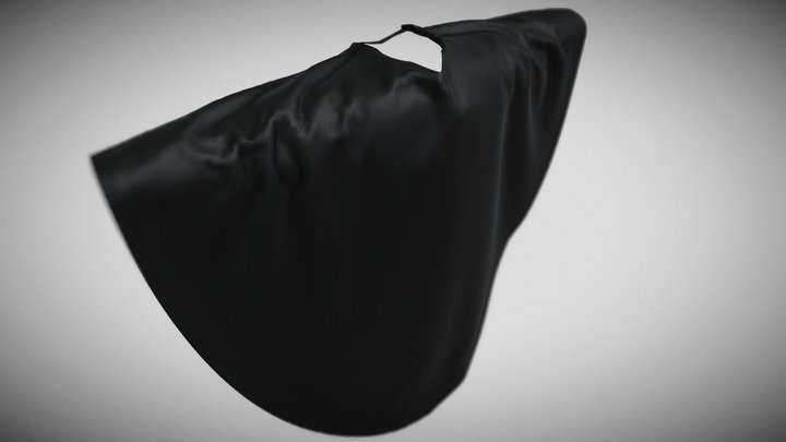 Poor man's cloak 3D Model