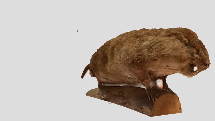 Stuffed animal 3D Model