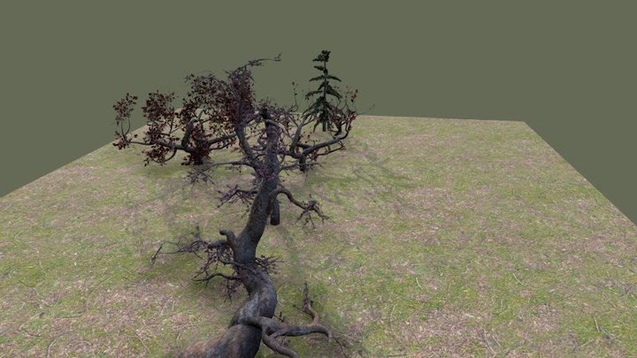 Árvores Imaginarias Realistas - Lowpoly 3D Model