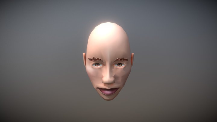 Face Examen 3D Model