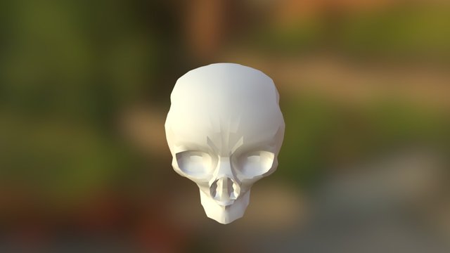 Updated Head Mesh 3D Model