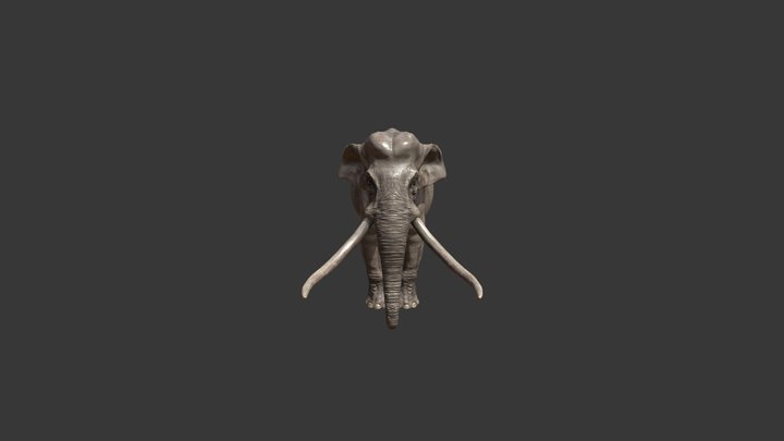 Palaeoloxodon antiquus 3D Model