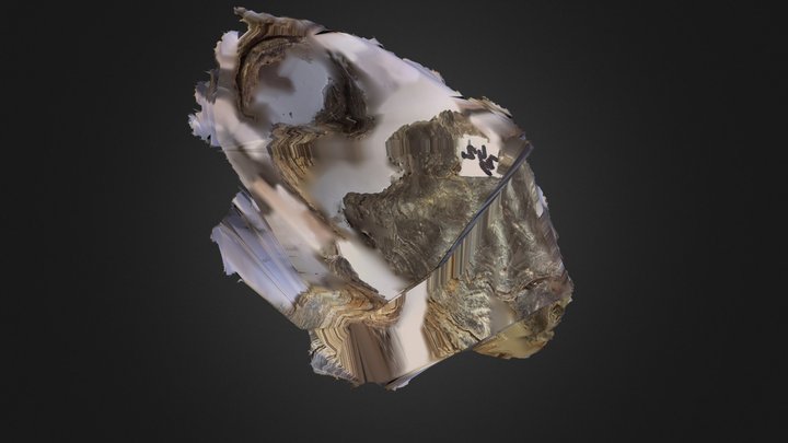 342 C4d Obj 3D Model