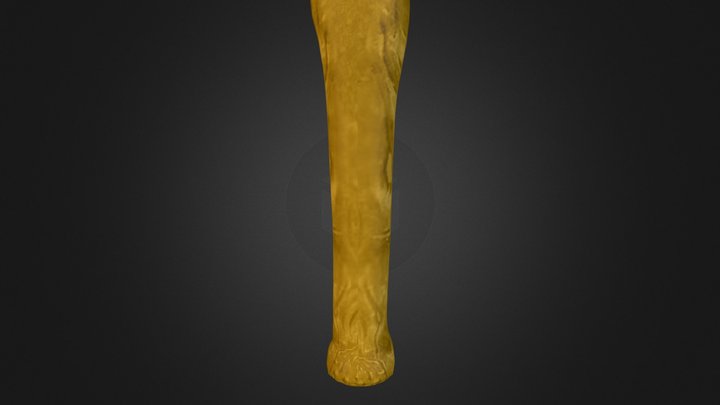 Gold Bone 3D Model