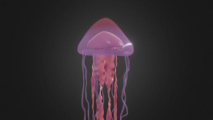 Jellyfish 3D Model