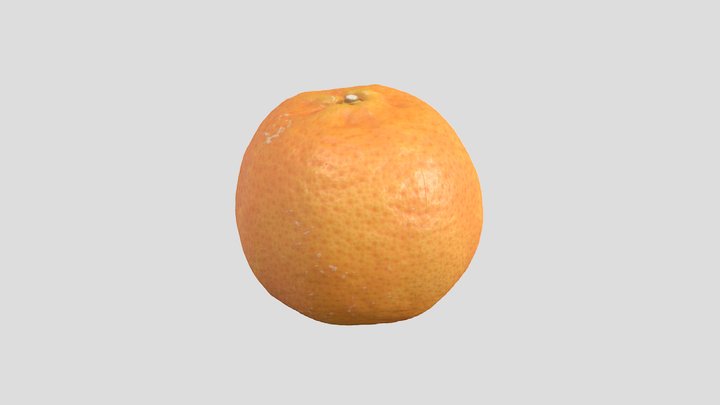 3D Scan - Orange 1 3D Model