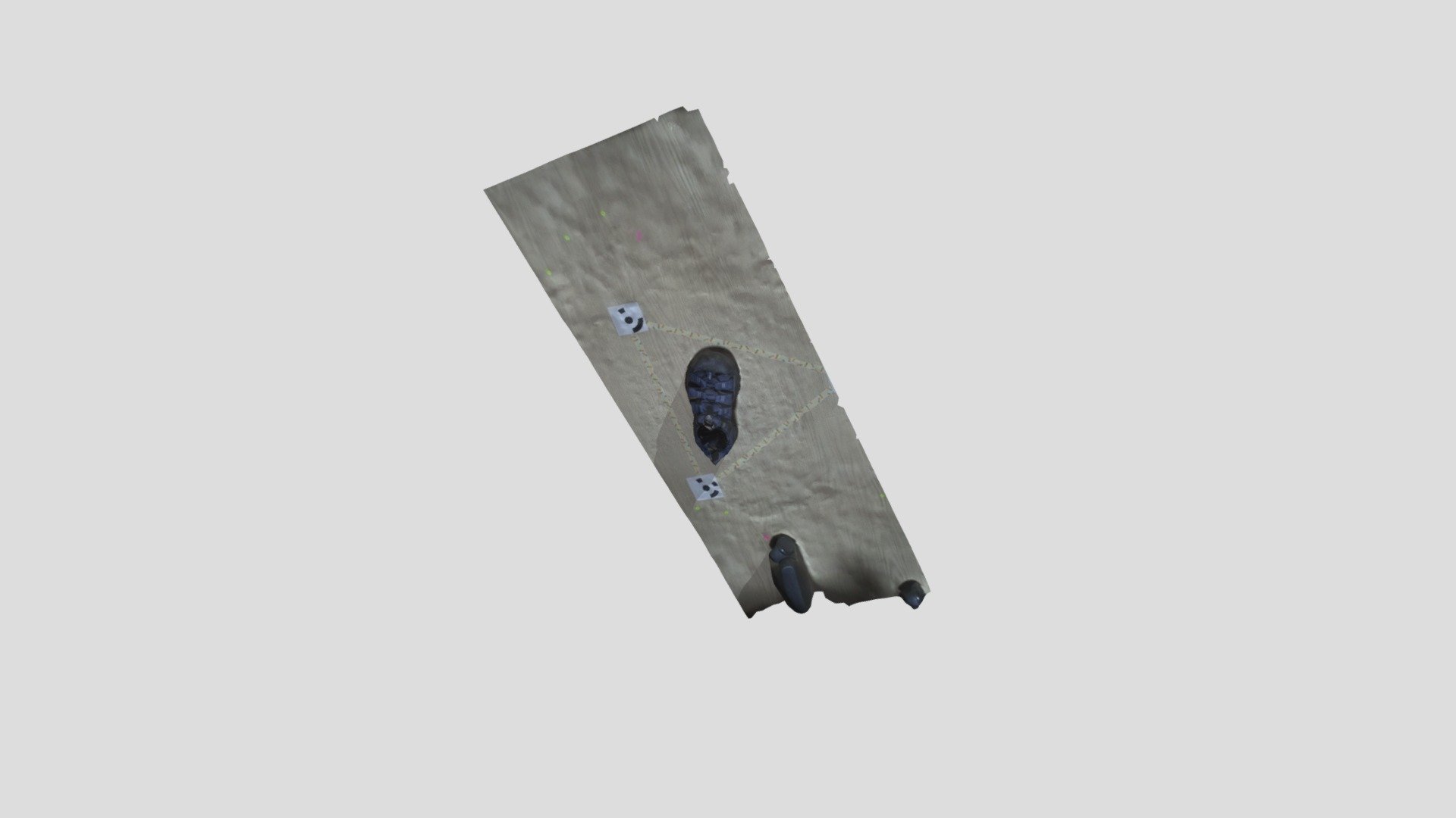 shoe