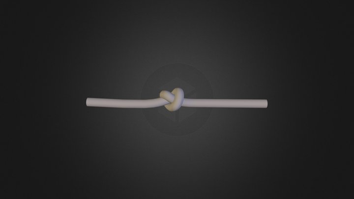 Knot 3D Model