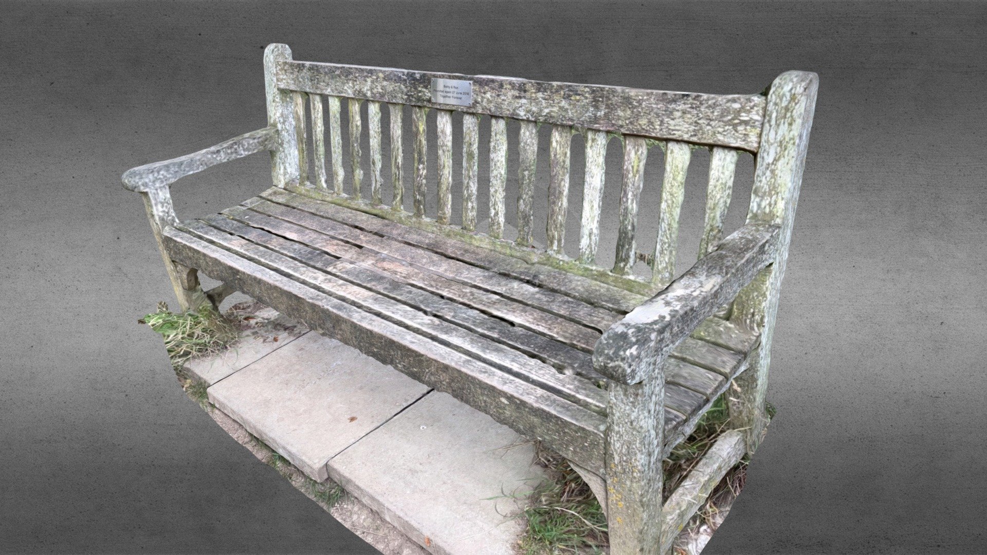Betty and Ron’s Park Bench