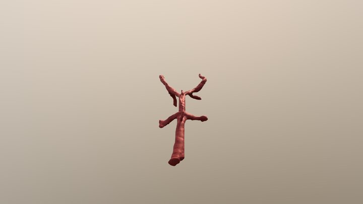 Descending aorta 3D Model