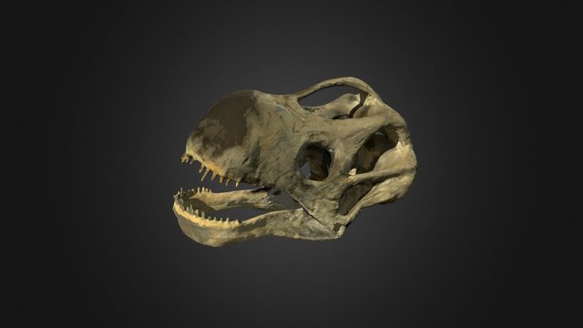 Titanossauro 3D Model