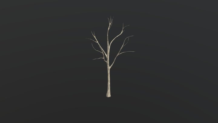 Trun-low-poly-006 3D Model