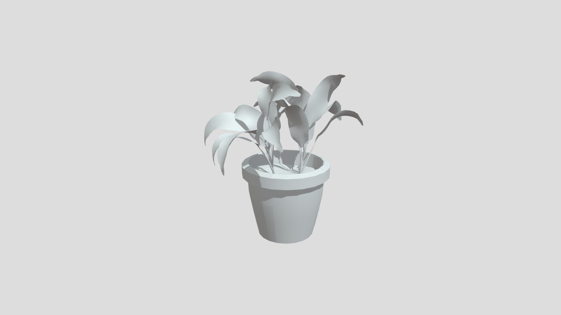 Potted Plant
