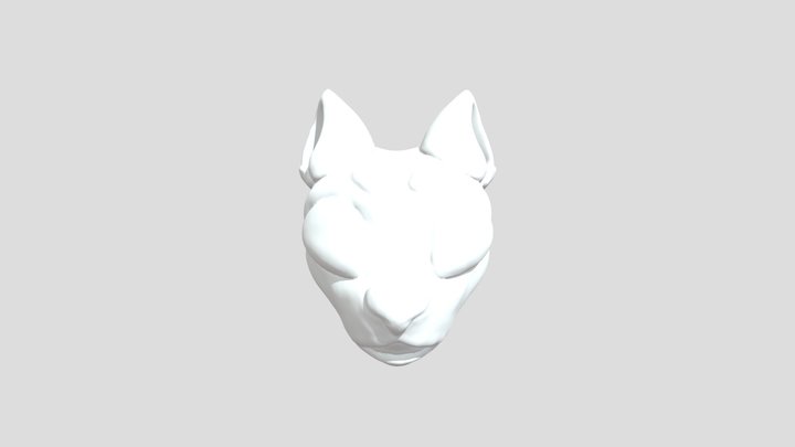 Dog Fight Mask 3D Model