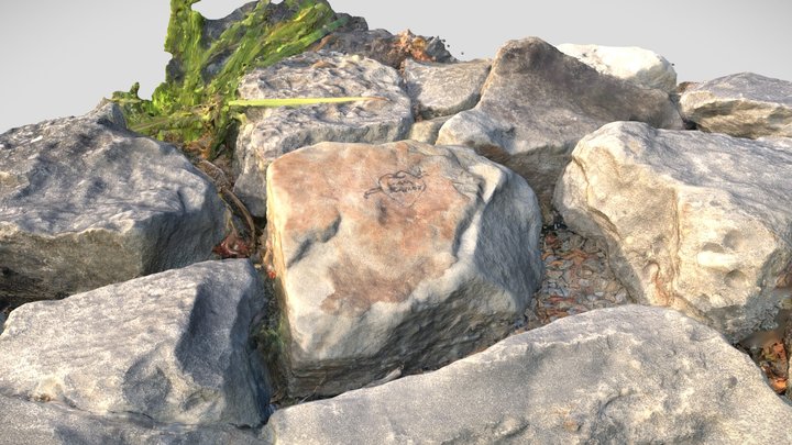 Jamaica Pond Rocks 3D Model