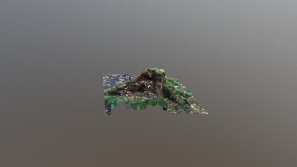 stump