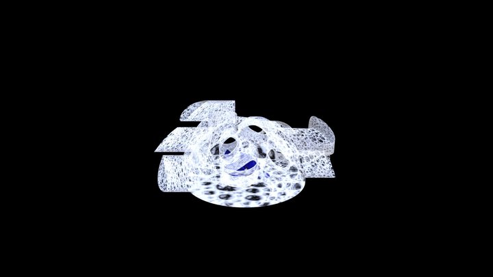 shoes 3D Model
