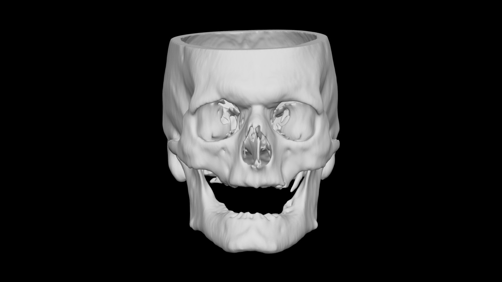 Skull Male 53yo