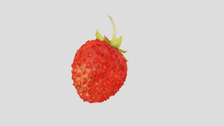 Forest Strawberry - Macro scan
