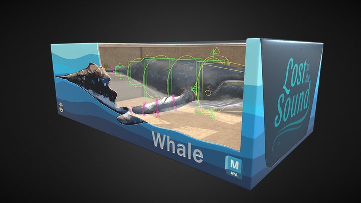 Toybox : Whale rig 3D Model