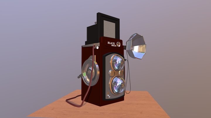 Vingane camera 3D Model
