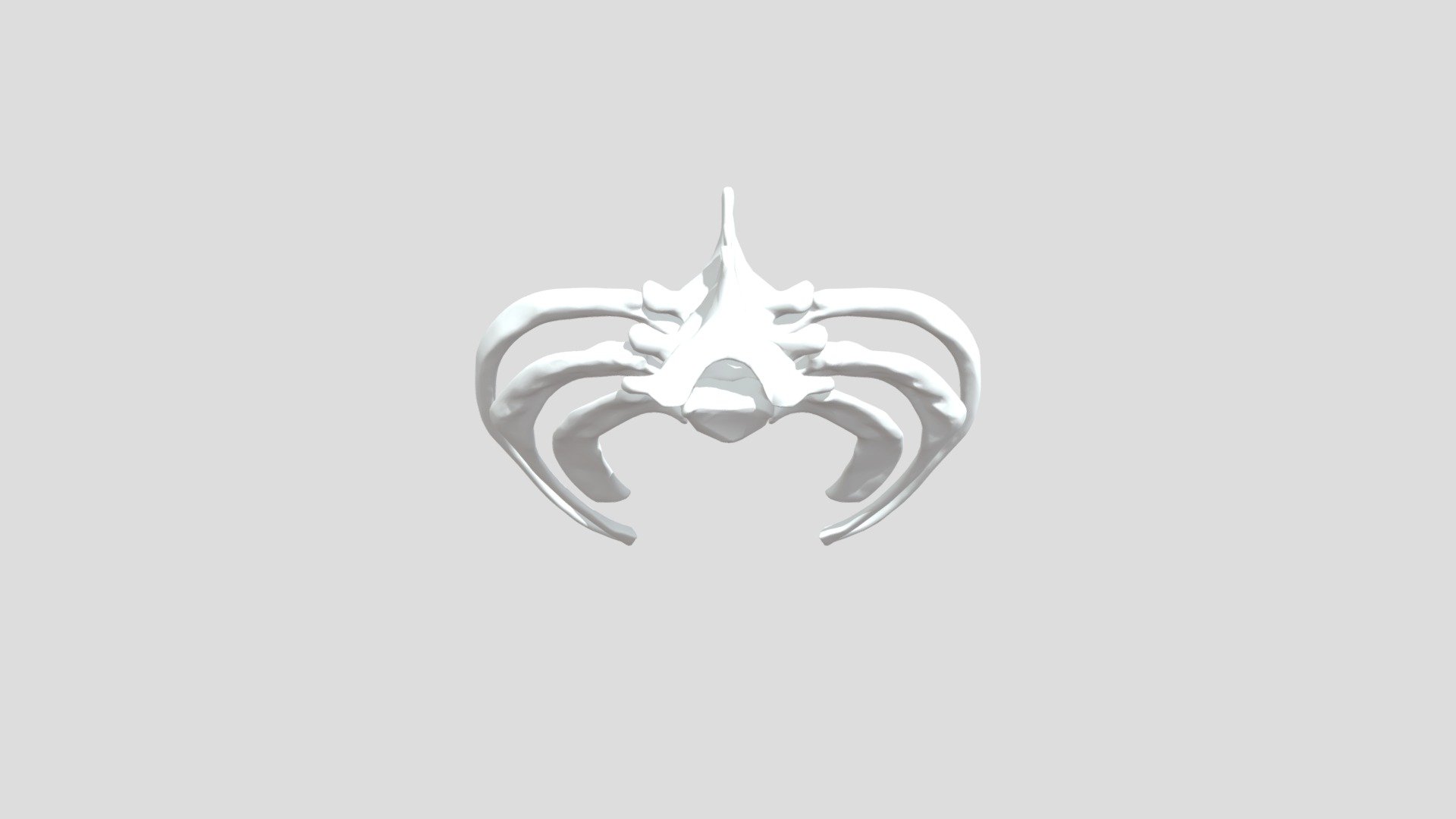 Ribs Final - 3D model by lregula1 [a28844f] - Sketchfab