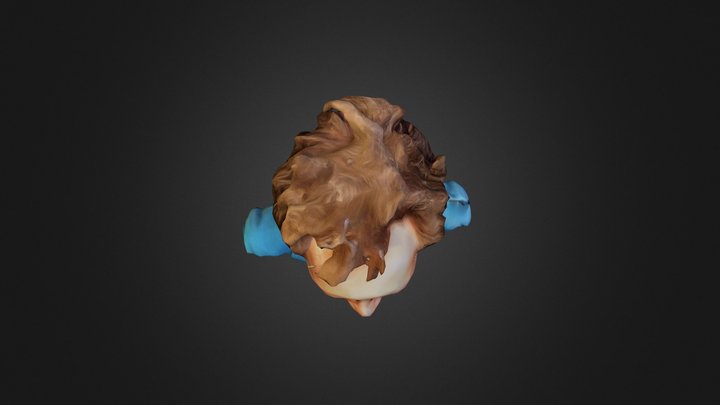 Model Mesh 3D Model