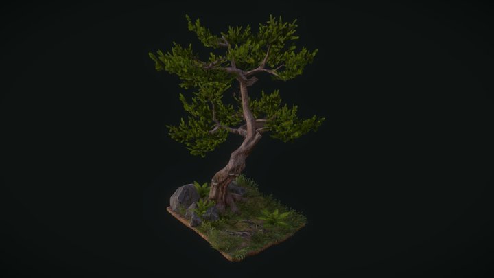 Mountain Tree 3D Model
