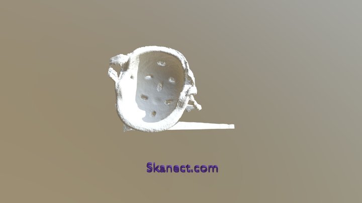 Test_scan_hat 3D Model