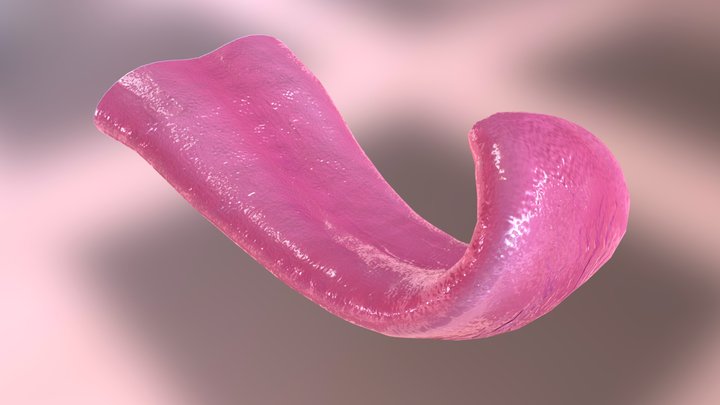 La Langue - The tongue 3D Model