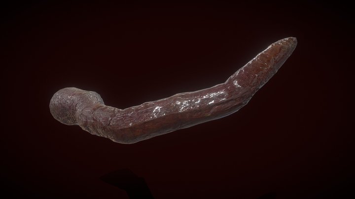 Creepy Tentacle 3D Model